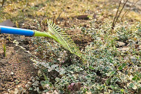 用落叶 干草和落叶的子清洗花园的春季清洁射线工具草地季节性院子工作公园园丁国家工人图片