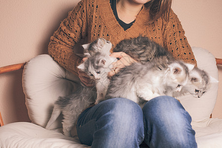 跪在膝上的小鸡小猫动物晶须女士猫科动物膝盖宠物红色女性友谊图片