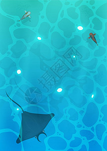 鱼在水顶视图中 或湖泊清澈湛蓝的水 方形横幅 矢量图环境捕食者蓝色荒野潜水动物野生动物假期运动海洋图片