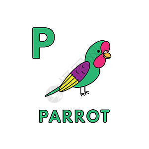 矢量可爱卡通动物字母表 它制作图案鹦鹉图片
