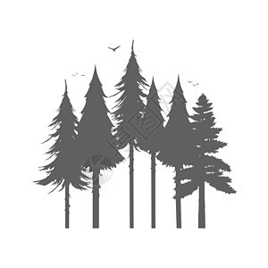 森林剪影 树木和鸟类的轮廓 孤立在白色背景上 向量图片