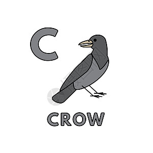 矢量可爱卡通动物字母表 它制作图案乌鸦图片
