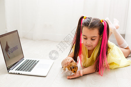 性格开朗的年轻小女孩带着一只宠物仓鼠 使用笔记本电脑在家里通过在线电子学习系统学习 远程或远程学习互联网屏幕孩子们教育网络技术房图片