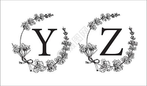 YZ 字母 设置现代手绘雕刻素描插图 薰衣草花环与字母组合 婚礼装饰的好主意 老式矢量印刷会徽标志标签设计图片