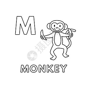 矢量可爱卡通动物字母表 猴子彩页图片