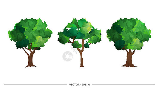 孤立在白色背景上的绿树套件 矢量树 公园城市和广场的设计元素 游戏设计细节图片