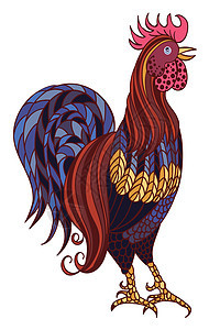 孤立在白色背景上的装饰程式化手绘公鸡 中国新年的象征 201艺术动物横幅唱歌绘画装饰品尾巴母鸡家禽日历图片