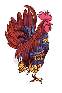 孤立在白色背景上的装饰程式化手绘公鸡 中国新年的象征 201羽毛插图母鸡唱歌装饰品横幅尾巴红色家禽日历图片