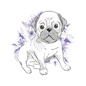 粉红色背景的头带中的小哈巴狗 矢量图小狗插图打印草图艺术犬类绘画潮人婴儿宠物图片