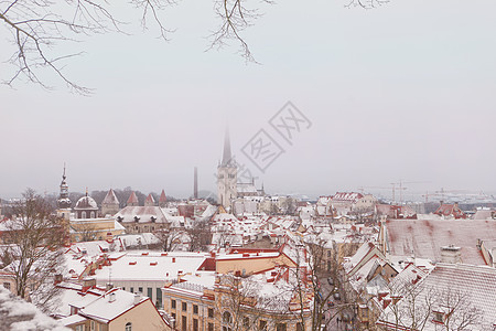 Oleviste 教堂景观和大教堂与老城塔在爱沙尼亚塔林 斯堪的纳维亚城市哥特式地标在冬季与雪和雾 联合国教科文组织遗产图片