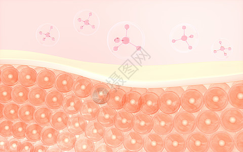 皮肤细胞和分子结构 3D转化图片