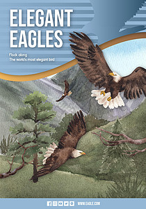 具有秃鹰概念 水彩风格的海报模板营销猎物广告绘画海藻力量动物野生动物翅膀猎人图片