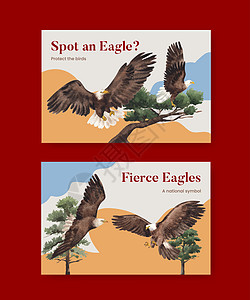 具有秃鹰概念 水彩风格的 Facebook 模板羽毛广告天空翅膀社区动物猎物社交猎人棕色图片