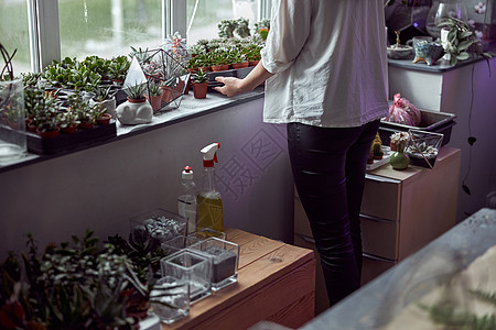 面粉店 有不同种类的干鲜花花艺商业女孩创造力植物作品女性生意手工业爱好图片