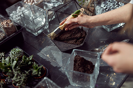 白人自信的快乐花店正在植物店里用玻璃石和植物制成的组合物园丁地面装饰植被苔藓花园植物学光合作用桌子园艺图片