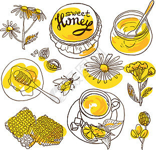 亲爱的昆虫蜂窝生物绘画花粉蜜蜂收藏橙子手绘蜂巢图片