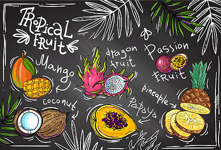 矢量热带水果木瓜异国食物菠萝插图黑板营养椰子叶子粉笔图片