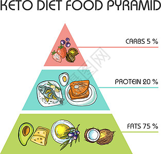 手绘矢量图 KetoDiet 营养卫生水果损失圆圈椰子插图饮食三角形等级制度图片