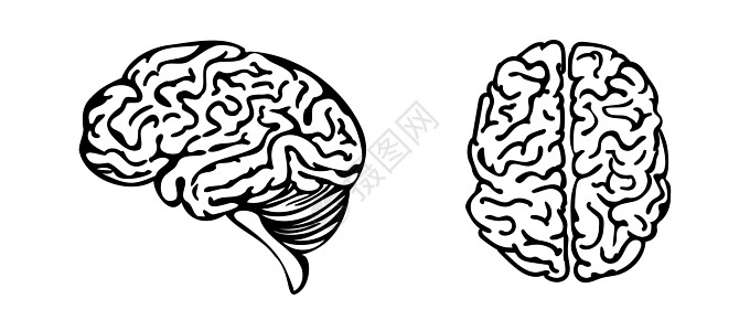 白色背景上孤立的脑线艺术图标集图片