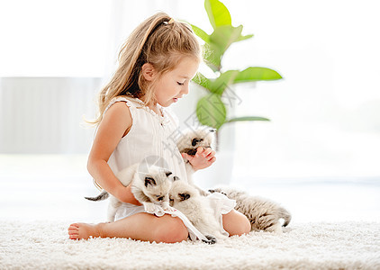 女孩有小猫的破布娃娃幸福快乐宠物猫咪哺乳动物乐趣友谊动物眼睛布娃娃背景图片
