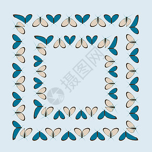 方形背景上的框架程式化的飞蛾图形 设计元素笔记本喜悦昆虫亮度蝴蝶正方形网站插图盖子图片