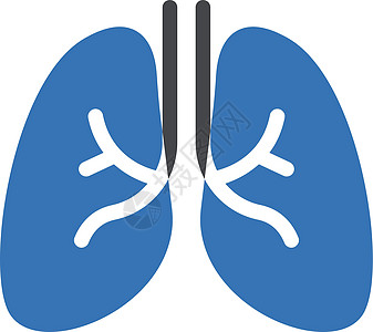 肺器官插图解剖学医疗生物学支气管诊所呼吸气管药品背景图片