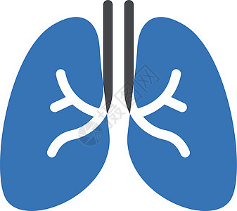 肺器官插图解剖学医疗生物学支气管诊所呼吸气管药品背景图片