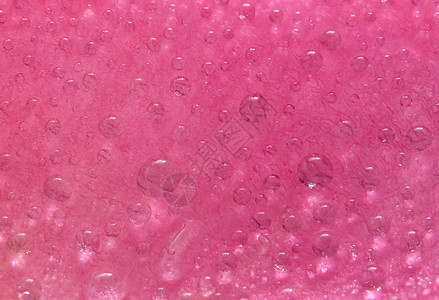 粉红玫瑰花瓣上的背景宏观水滴子花朵飞沫粉色图片