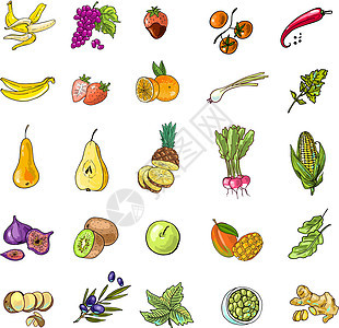 蔬菜和水果卡通片胡椒插图绘画洋葱菠萝草图土豆西瓜玉米图片