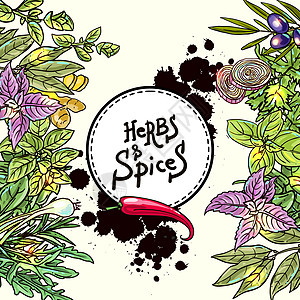 草药和香料香菜菠菜调味品叶子芳香草图插图花园迷迭香食物图片