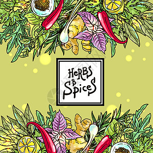 草药和香料烹饪草本植物味道种子食物柠檬手绘插图花园迷迭香图片