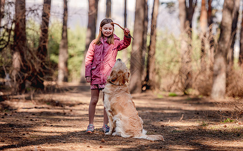 小女孩 有金色猎犬在木头孩子动物犬类友谊森林宠物童年公园幸福粉色图片
