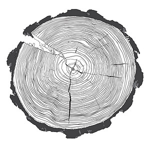 树干横截面灰度图的年轮图片