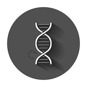 Dna 矢量图标 带有长阴影的医学分子平面插图黑色生活药品科学曲线生物学遗传克隆染色体网络图片