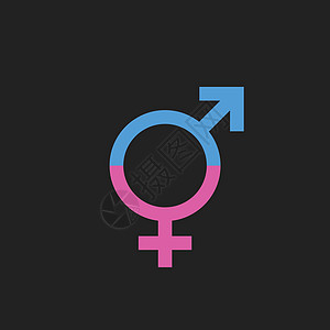 性别等号矢量图标 男女平等概念图标自由歧视控制夫妻男性联盟女性紫色权利图片