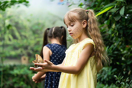 玩蝴蝶的女孩两个小妹妹手里拿着蝴蝶 孩子们在探索自然 夏天和孩子们一起享受家庭休闲时光 孩子会喜欢的森林青年朋友学校女孩金发日落花园阳光兄弟背景