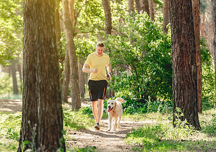 人与狗在木柴中慢跑跑步朋友木头动物忠诚猎犬微笑宠物幸福松树图片