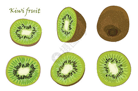 一套手绘奇异果单去皮切片水果 在白色背景上隔离的写实绘图插图饮食食物艺术异国手工营养绘画农业甜点图片