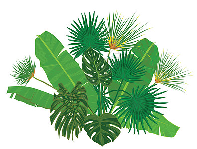 手绘热带棕榈叶组合物与白色背景上的丛林奇花异草植物载体它制作图案森林插图丛林雨林鸡蛋花墙纸叶子织物蕨类香蕉图片