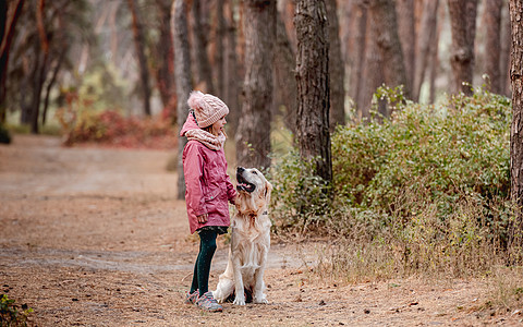 小女孩带着狗在松木林中行走公园宠物犬类森林娱乐幸福猎犬女儿孩子皮带图片