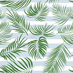 白色背景上带有棕榈叶丛林异国情调叶的无缝手绘热带图案香蕉植物群叶子生态雨林棕榈艺术插图蕨类纺织品图片