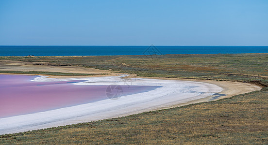 粉红色湖 Koyash 的盐水和盐被微藻杜氏盐藻染色 以其抗氧化特性而闻名 通过 胡萝卜素丰富水 用于医药和水疗 奥普克角 克里图片