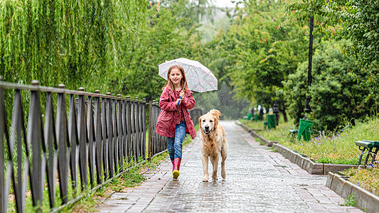 小女孩在雨下与狗一起走胡同朋友微笑孩子们女学生雨衣天气孩子宠物下雨图片