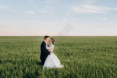 新郎和新娘在小麦绿地上散步绿色场地家庭花束男朋友豆芽黑色婚礼天空花朵图片