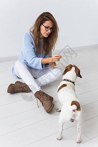 宠物主人的概念  穿着蓝色毛衣的迷人开朗女性与她最喜欢的宠物玩耍 快乐的女人和她的杰克罗素梗犬眼镜乐趣牙齿友谊朋友格子小狗眼睛拥图片