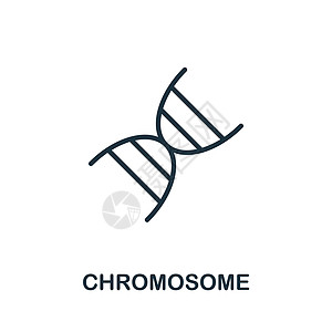 染色体图标 来自生物工程系列的单色标志 用于网页设计 信息图表等的创意染色体图标插图图片