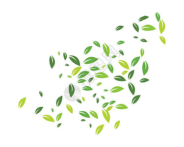 叶叶落向矢量公司叶子装饰品生态艺术生活商业插图草本植物树叶图片