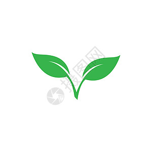 绿叶标志生态生活商业绿色植物发芽树叶生物生长热带叶子图片