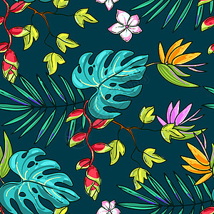 手绘美丽的无缝图案世界热带植物季节风格木槿裙子插图墙纸情调丛林织物背景图片
