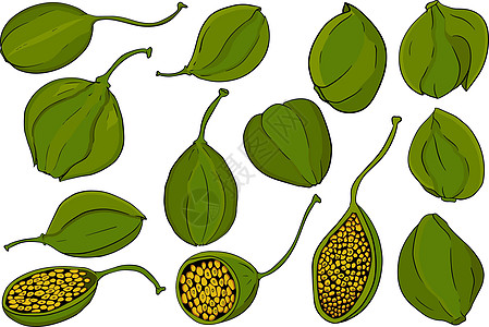 刺山柑颜色平面图标 成熟的绿色蔬菜 素食好吃 生态有机食品香料市场美食家美食植物营养食物味道图片
